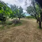 Zala megye - Balatongyörök