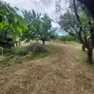 Zala megye - Balatongyörök