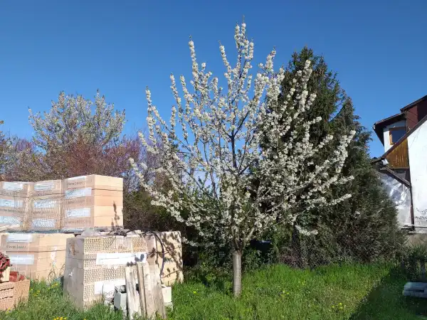 Eladó Építési telek, Gyenesdiás 800 m² 95 M Ft