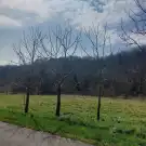 Veszprém megye - Lesencefalu