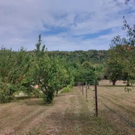 Eladó telek, Balatongyörök 1257 m² 28 M Ft