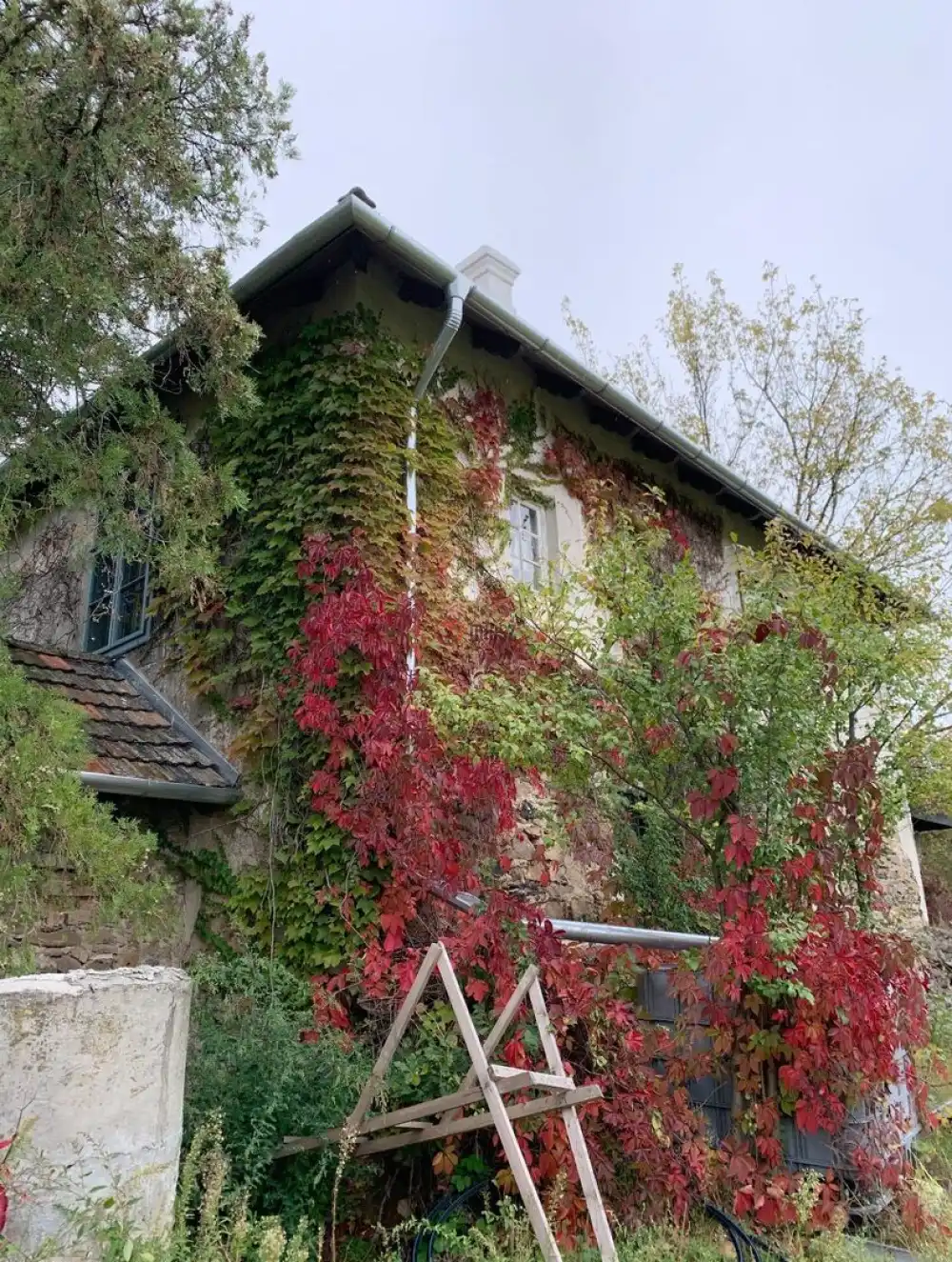 Veszprém megye - Tapolca