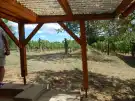 Vas megye - Borgáta