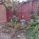 Zala megye - Hévíz