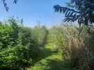 Veszprém megye - Ábrahámhegy