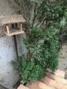 Zala megye - Keszthely