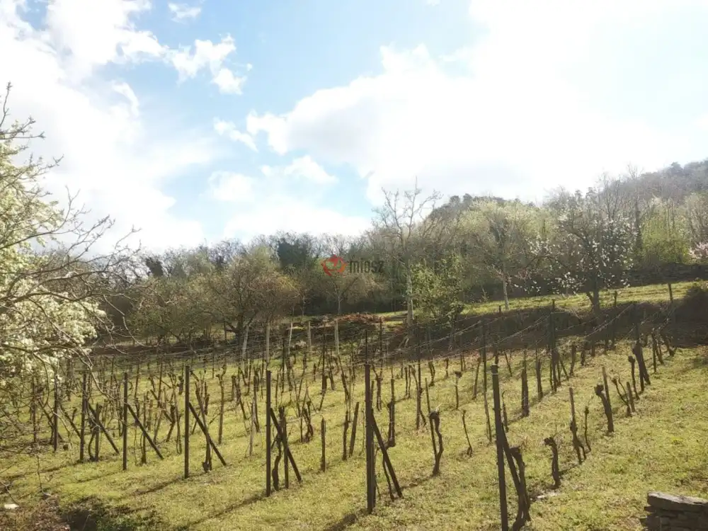 Veszprém megye - Tapolca