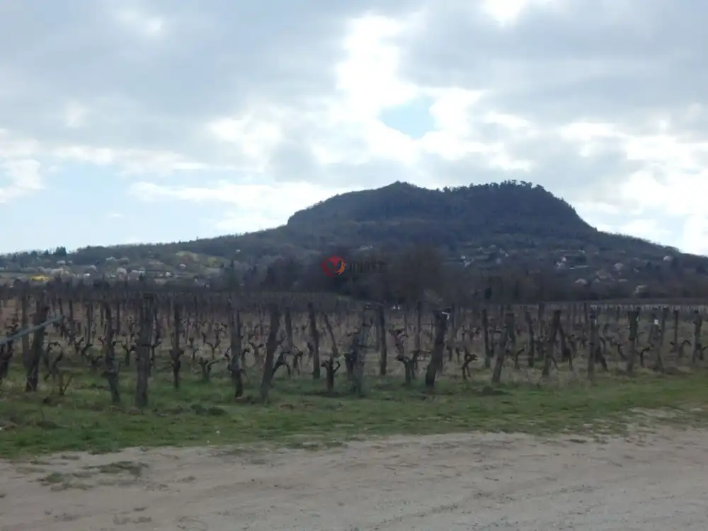 Veszprém megye - Tapolca