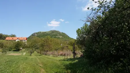 Eladó telek, Gyulakeszi 7181 m² 23 M Ft